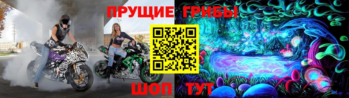 Галлюциногенные грибы Psilocybe Хабаровск
